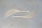Image of Freshwater Pearl, Silk, Horsetail