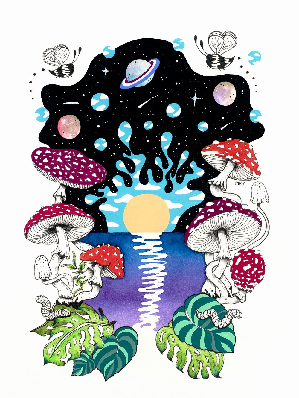 Image of Fungi Daydreams