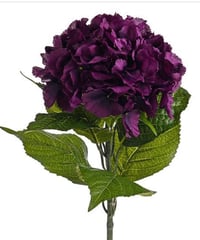 Image 3 of Hydrangea bundle (with or without vase). 