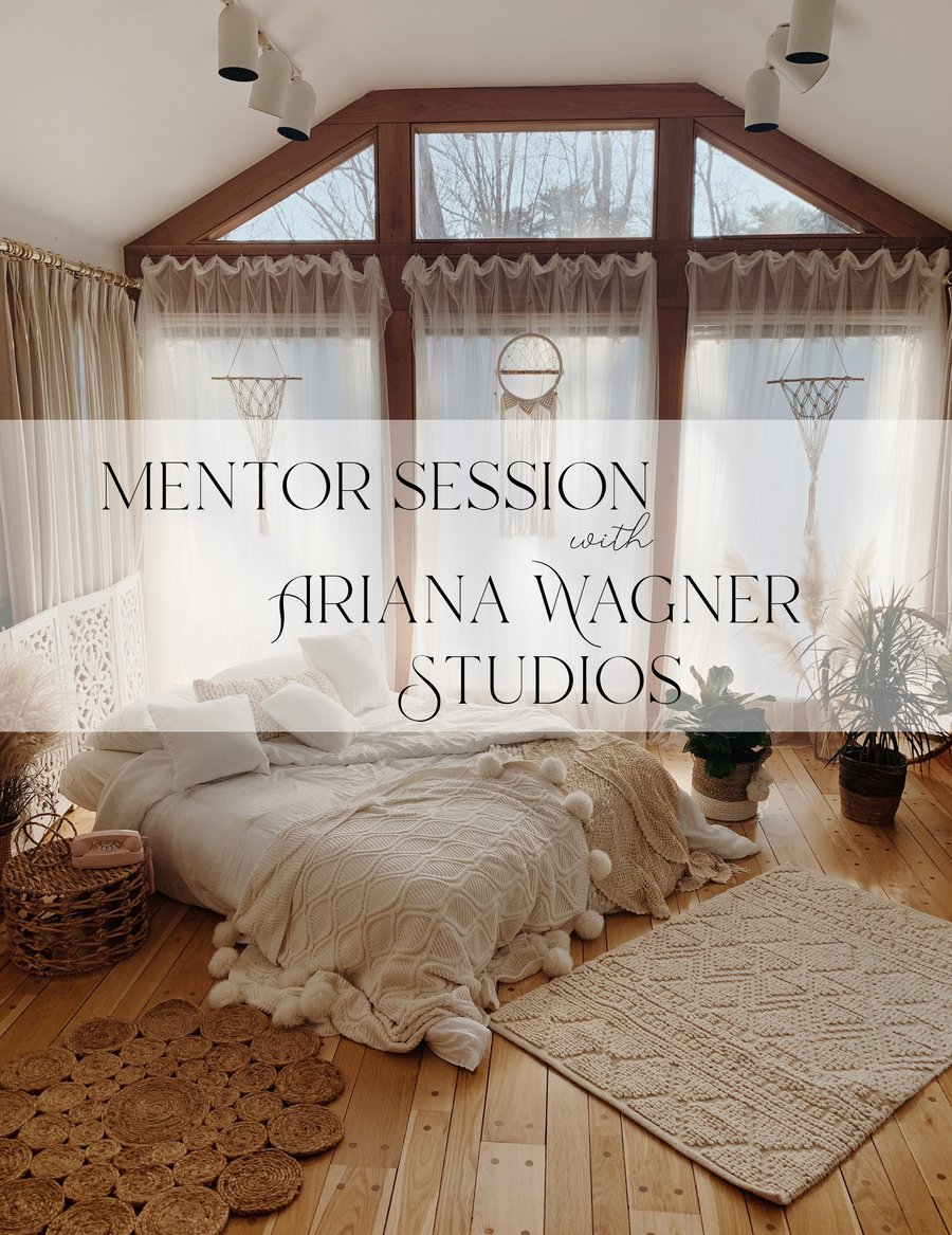 Image of Mentor Session with Ariana 