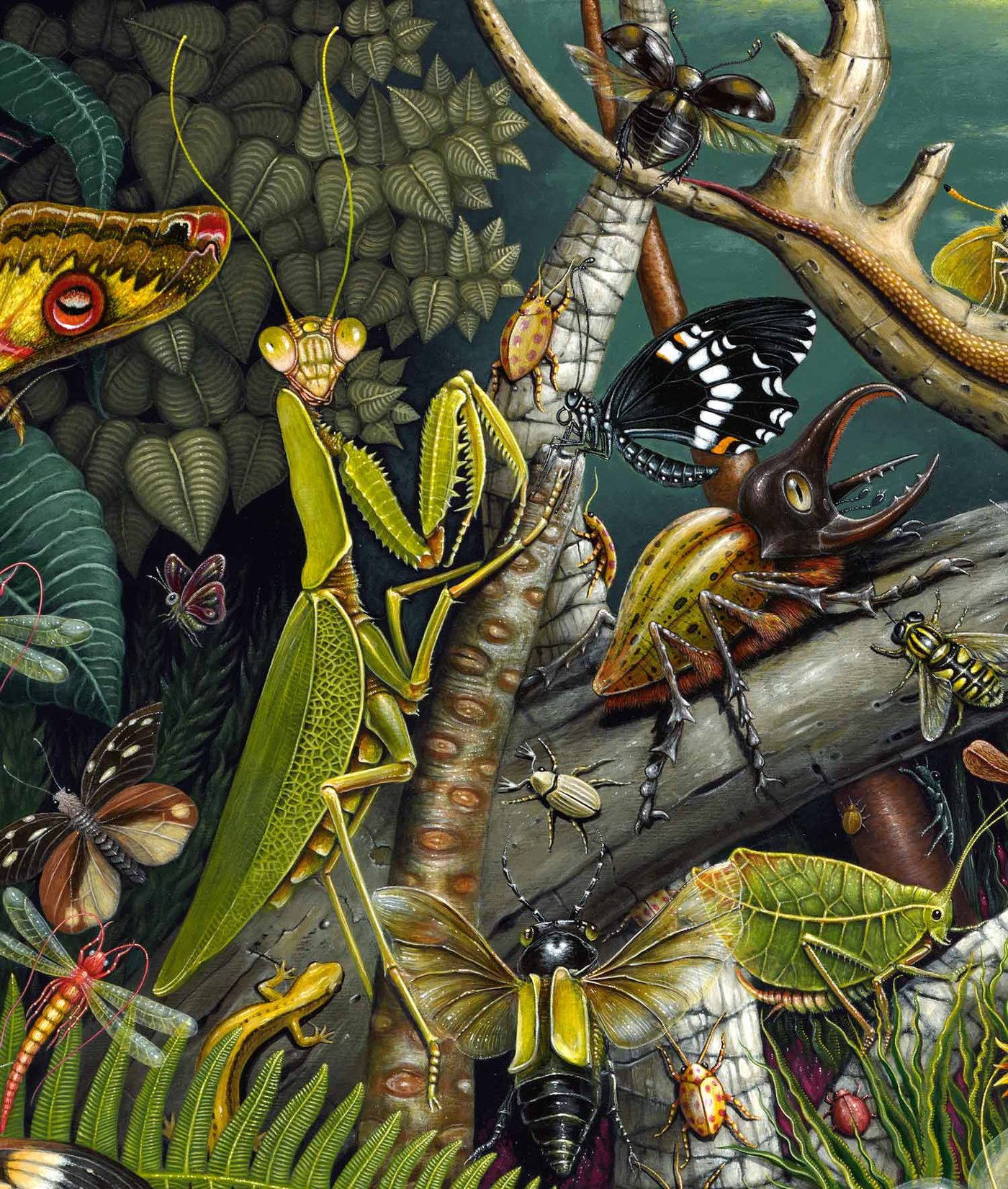 MANTIS MUNDI, The Mantis's World • Signed Edition | R.S. CONNETT ARTWORKS