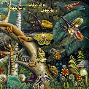 Image of MANTIS MUNDI, The Mantis's World • Signed Edition