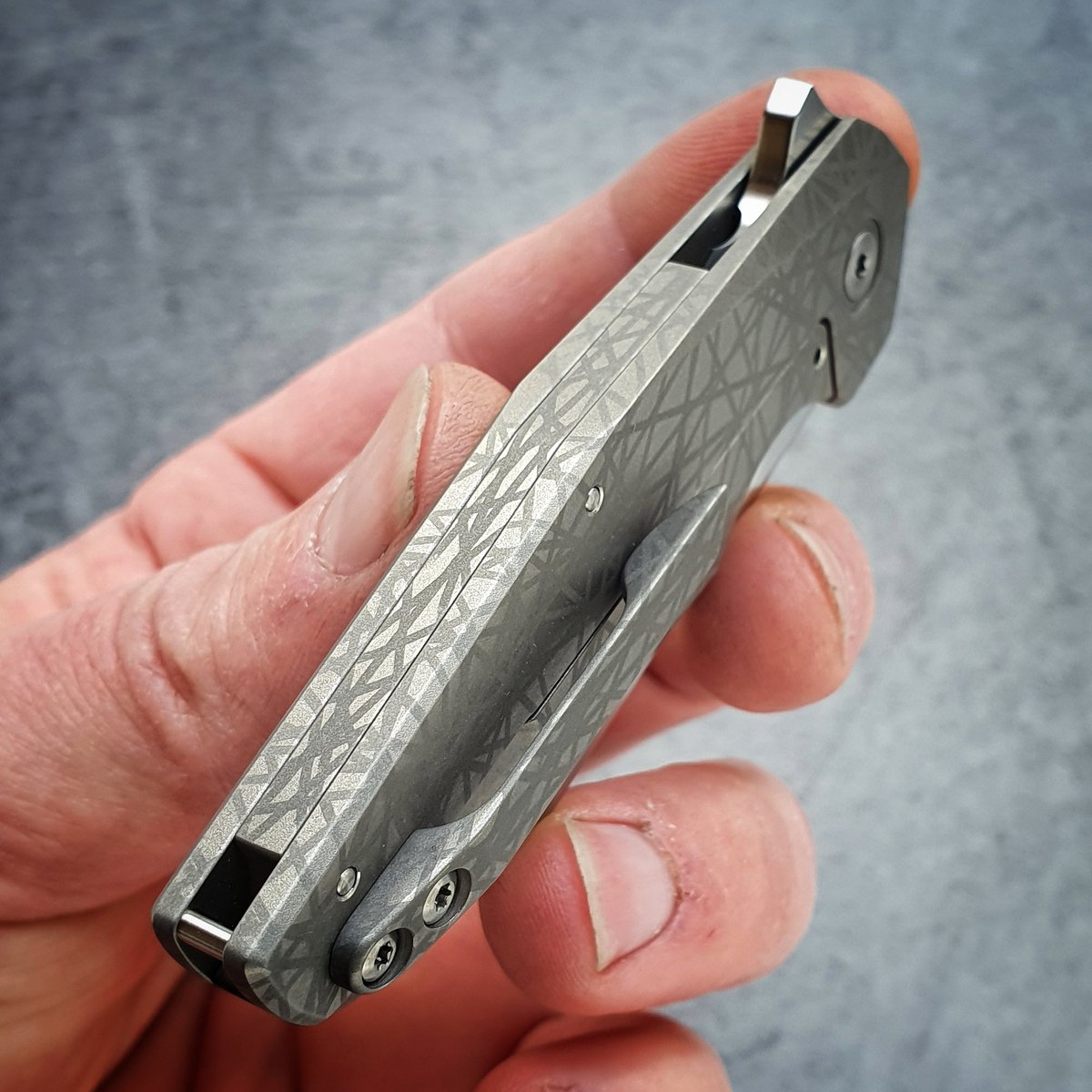 Image of P'Ti traits