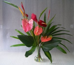 Image of Standard Hawaiian Boquet