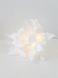 Image 1 of Bouquet lumineux 10 LED Sun Blanc