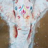 Carte postale "Eléphant du Rajasthan"