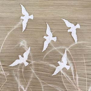 Image of DOUCES COLOMBES