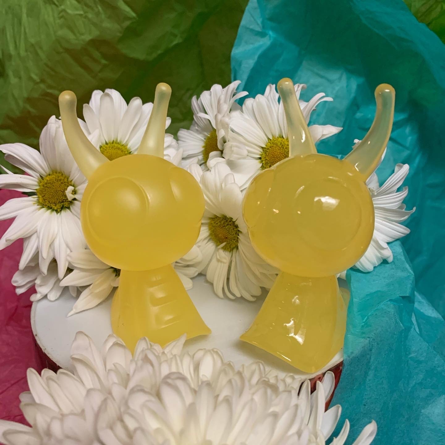 Image of Sun Drop Snalien