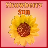 Image 1 of Strawberry Sun