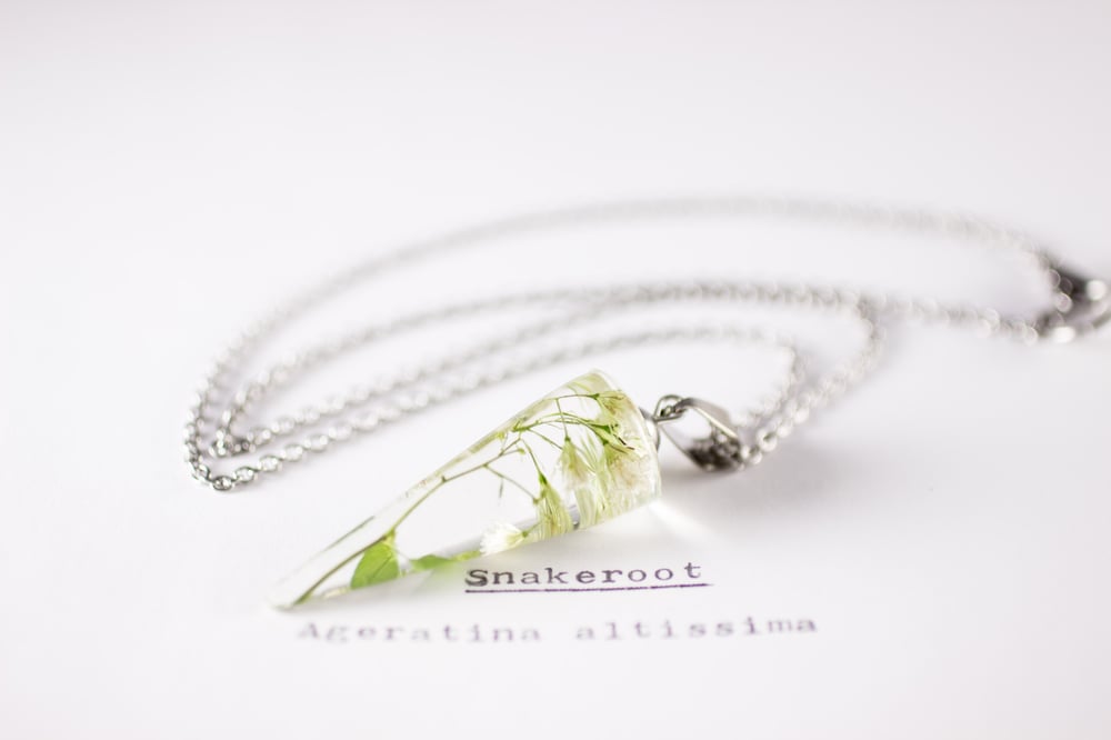 Image of Snakeroot (Ageratina altissima) - Conical Pendant #1
