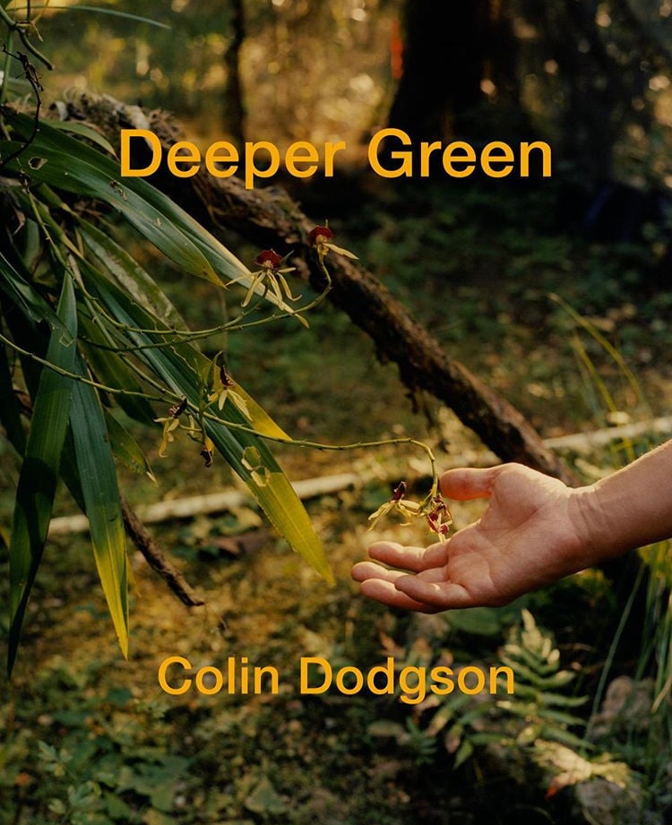 Image of (Deeper Green)(コリン・ダッジソン)(Colin Dodgson)
