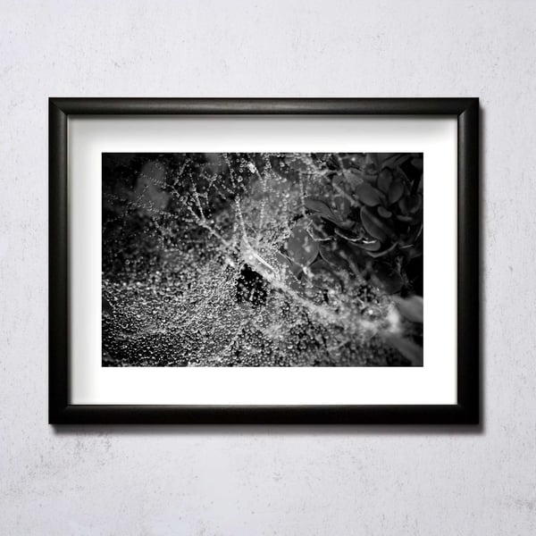 Image of Wet Web A4/A3 photographic print