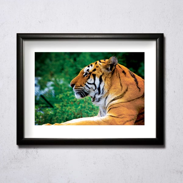 Image of Majestic A4/A3 photographic print
