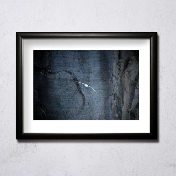 Image of Gull In Front Of Cliff A4/A3 photographic print