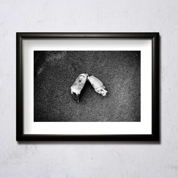Image of Crab Claw A4/A3 photographic print