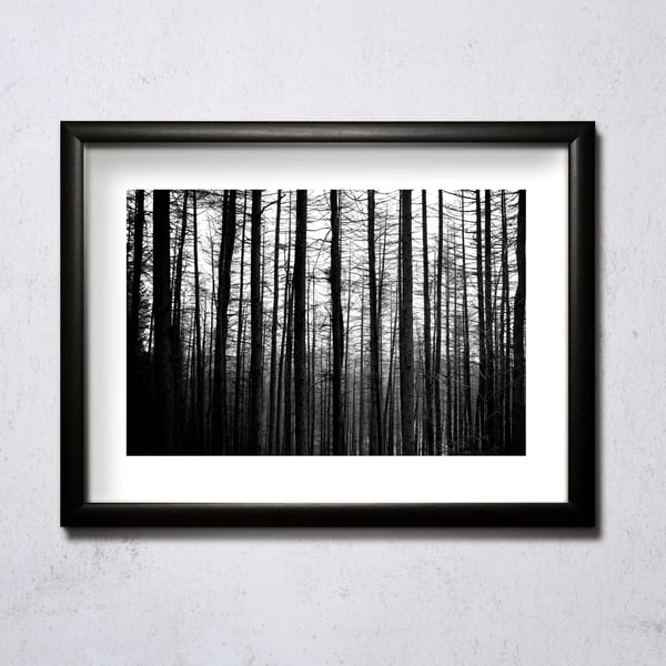 Image of  Barkcode A4/A3 photographic print