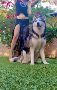 Luna Skirt