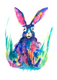 Image 1 of Blue Hare 