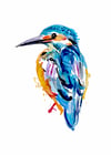 King Fisher