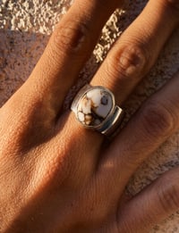 Image 1 of Wild Horse Ring