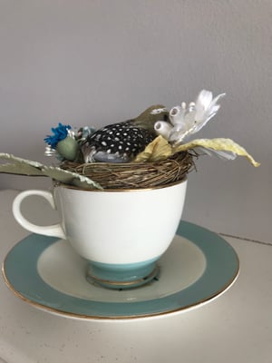 Image of Sweet bird in a teacup