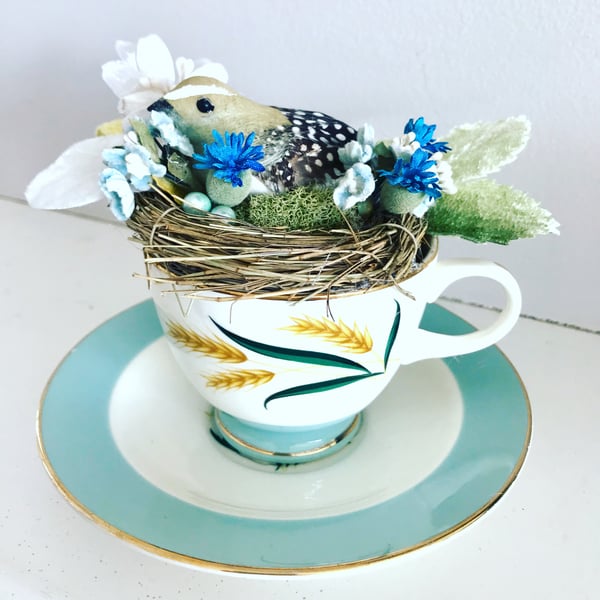 Image of Sweet bird in a teacup