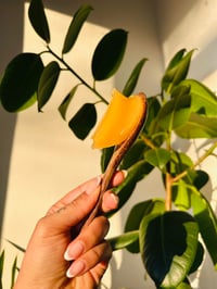 Image 4 of Passion Fruit Seamoss