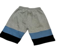 Image 4 of Livingstone “Alumni” Shorts 