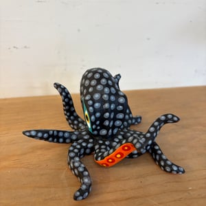 Image of Black beauty 