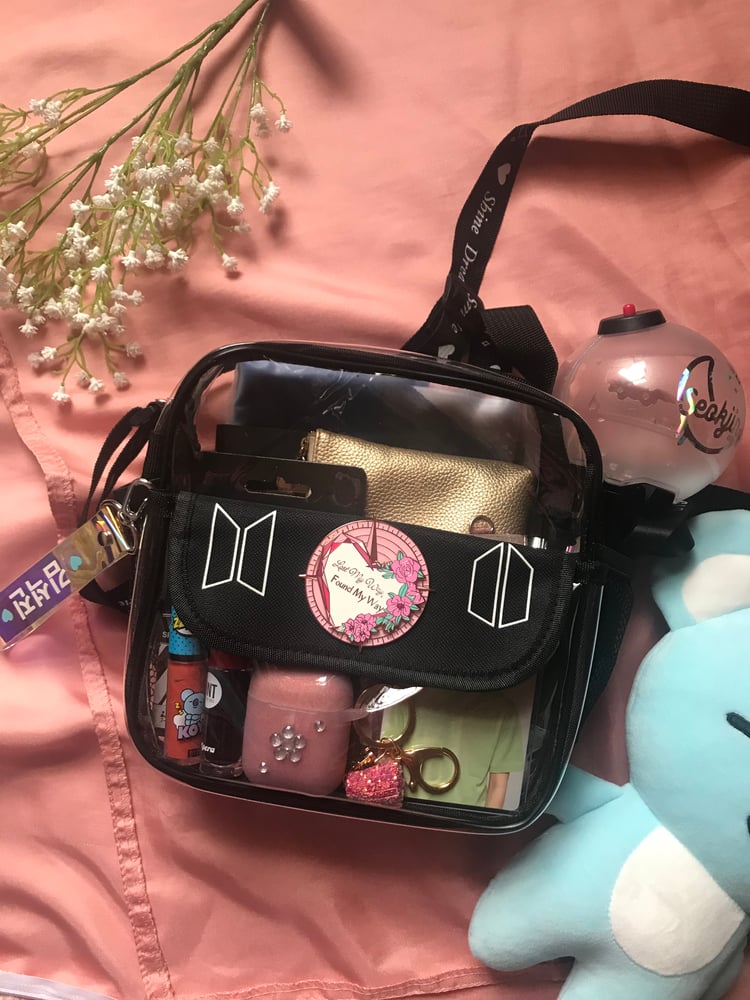 Image of Concert Bag