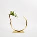 Image of Vase 1202 - Best Practice Vase (for fine/medium stemmed foliage)