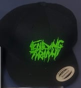 Image of Snap Back