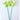 Single Flowers