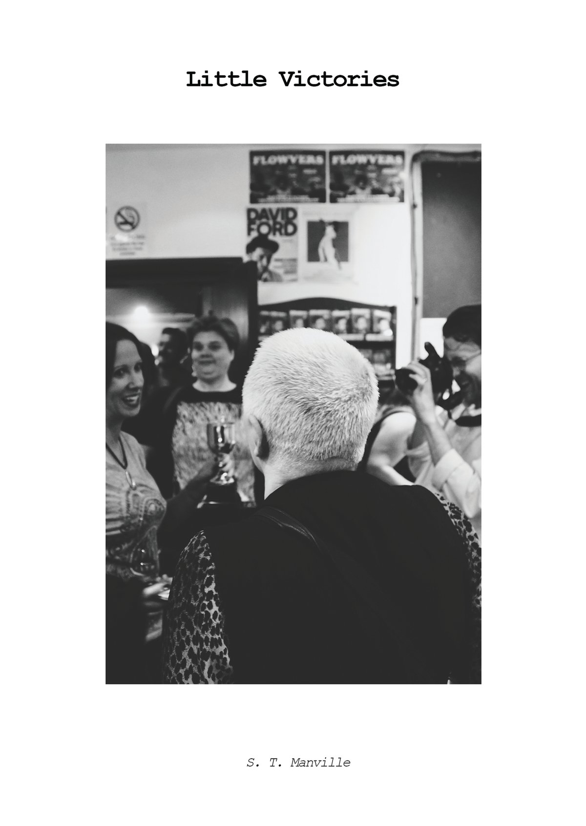 Image of Little Victories - Book