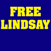 Image of Free Lindsay shirt - Navy Blue