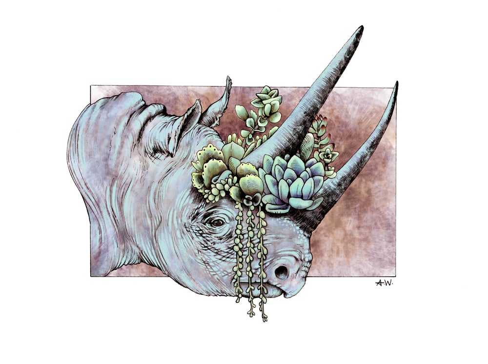 Image of Rhinoplasty
