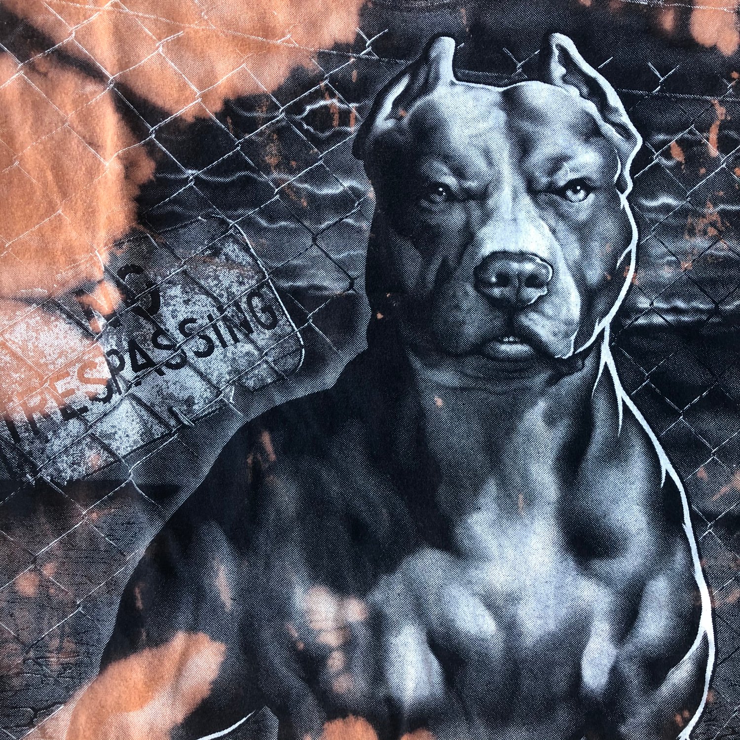 Image of Custom Bleached Pitbull No Trespassing Tee