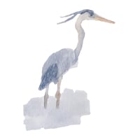 Great Blue Heron Watercolor Print