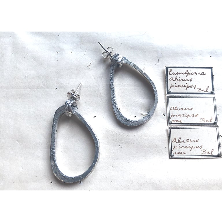 The Rangifer Image 2