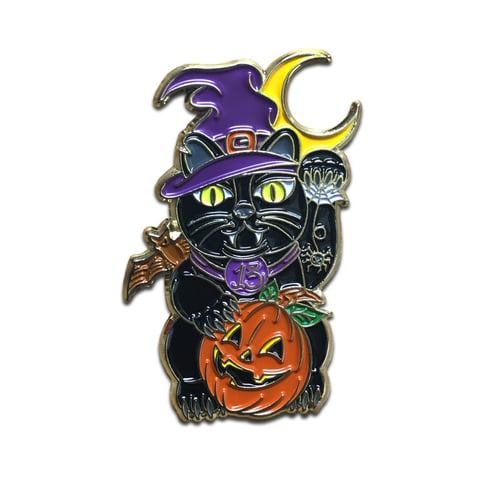 Image of Lucky Binx - Lapel Pin