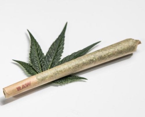 CBD Joints and Kief Infused Pre-Rolls