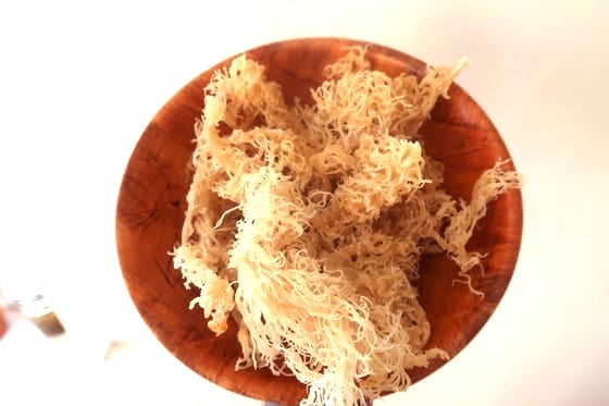 Image of RAW SEA MOSS 