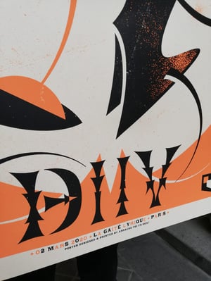 DIIV (gigposter Paris 2020)