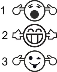 Image 1 of Bass Emoji Decals