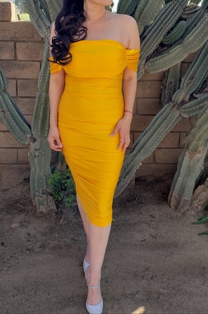 Image of Tina Rushed Dress 