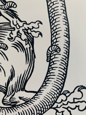 Image of Flyblown Rat