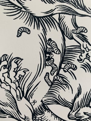 Image of Flyblown Rat