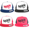 Logo Embroidered hats (variety)