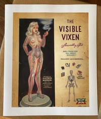 Visible Vixen (giclee print)