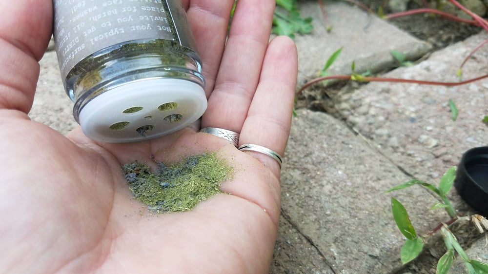 Image of Herbal Dirt facial exfoliator/mask